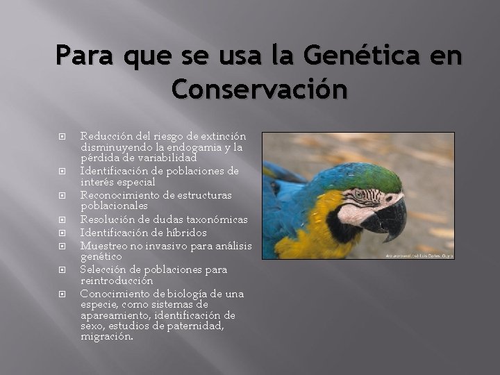 Para que se usa la Genética en Conservación Reducción del riesgo de extinción disminuyendo