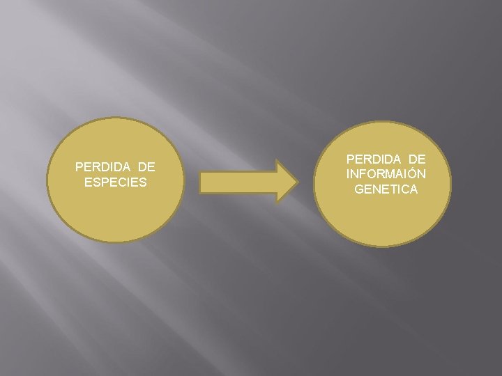 PERDIDA DE ESPECIES PERDIDA DE INFORMAIÓN GENETICA 