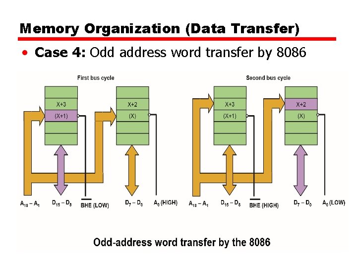 Memory Organization (Data Transfer) • Case 4: Odd address word transfer by 8086 