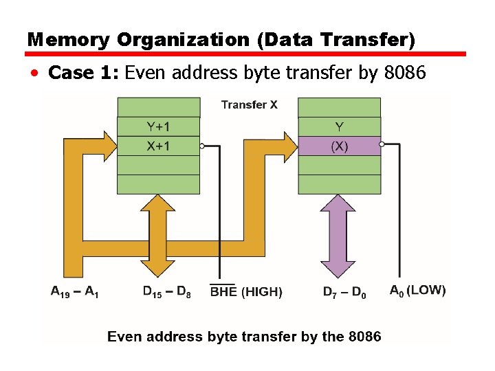 Memory Organization (Data Transfer) • Case 1: Even address byte transfer by 8086 