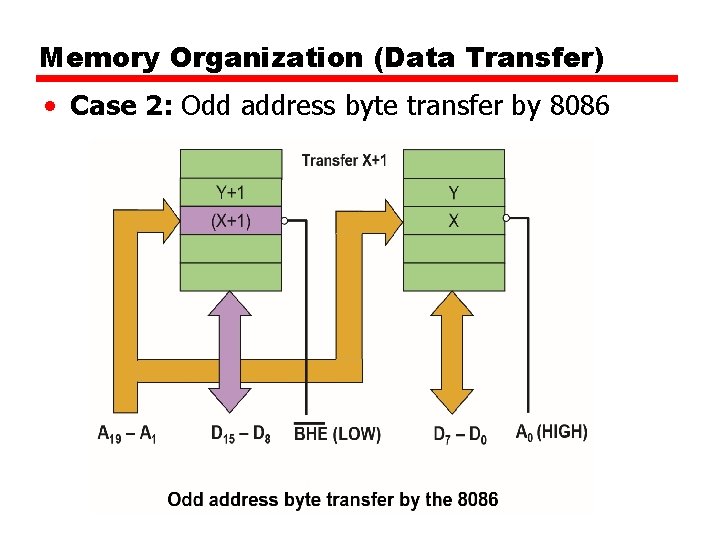 Memory Organization (Data Transfer) • Case 2: Odd address byte transfer by 8086 