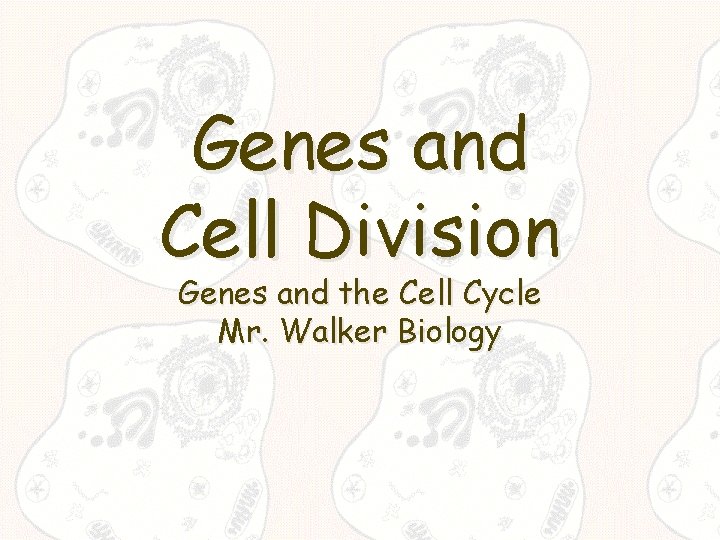 Genes and Cell Division Genes and the Cell Cycle Mr. Walker Biology 