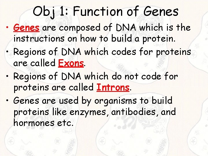 Obj 1: Function of Genes • Genes are composed of DNA which is the