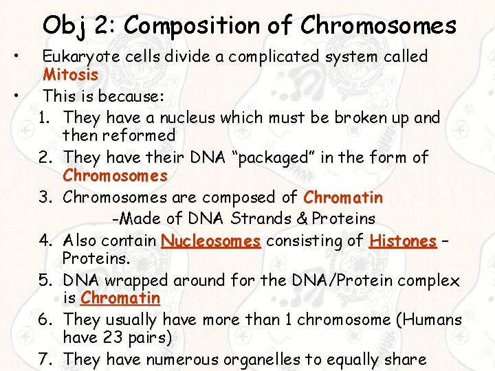 Obj 2: Composition of Chromosomes • • Eukaryote cells divide a complicated system called