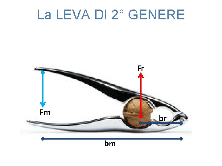 La LEVA DI 2° GENERE Fr Fm br bm 