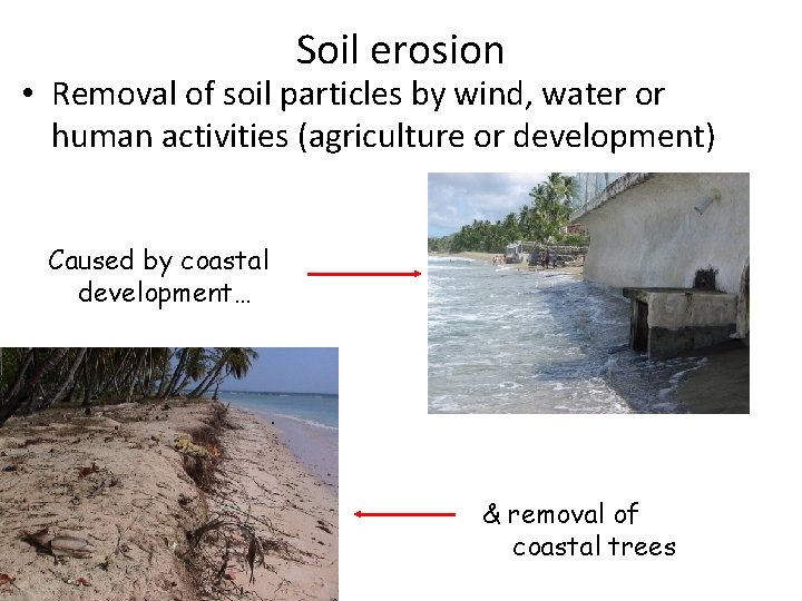 Soil erosion • Removal of soil particles by wind, water or human activities (agriculture