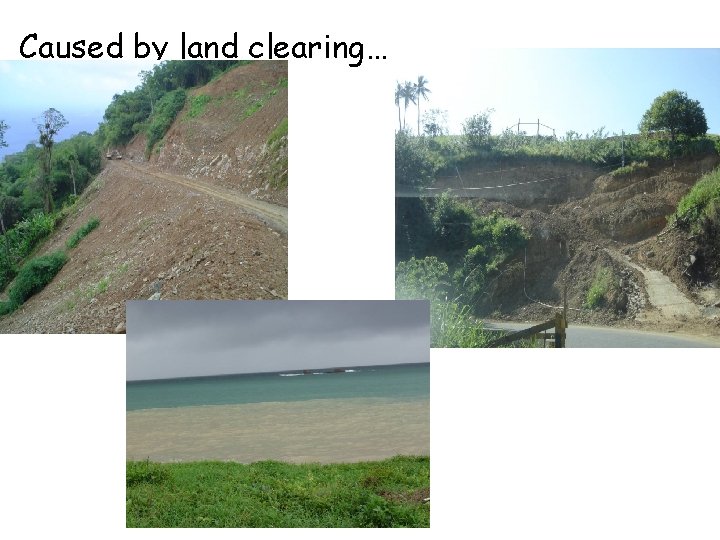 Caused by land clearing… 