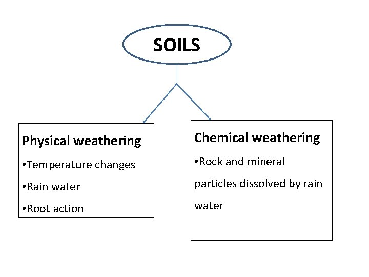 SOILS Physical weathering Chemical weathering • Temperature changes • Rock and mineral • Rain