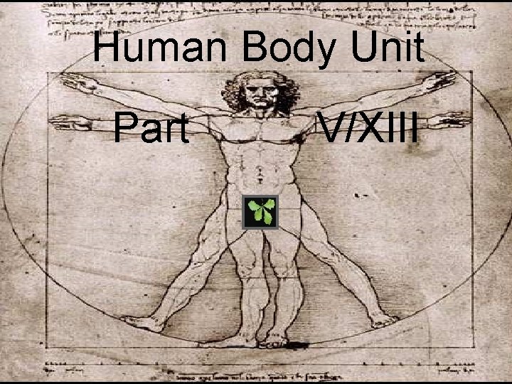 Human Body Unit Part V/XIII 