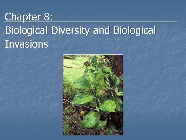 Chapter 8: Biological Diversity and Biological Invasions 