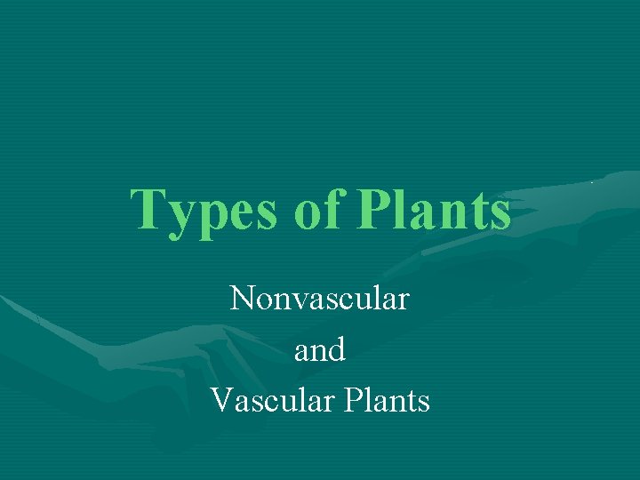 Types of Plants Nonvascular and Vascular Plants 