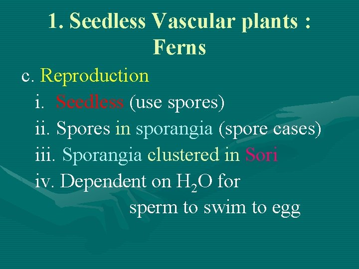 1. Seedless Vascular plants : Ferns c. Reproduction i. Seedless (use spores) ii. Spores
