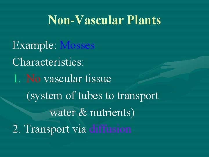 Non-Vascular Plants Example: Mosses Characteristics: 1. No vascular tissue (system of tubes to transport