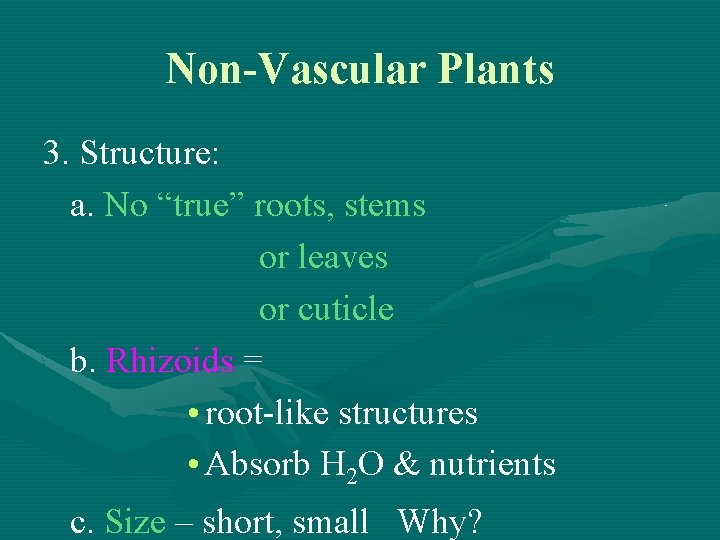Non-Vascular Plants 3. Structure: a. No “true” roots, stems or leaves or cuticle b.