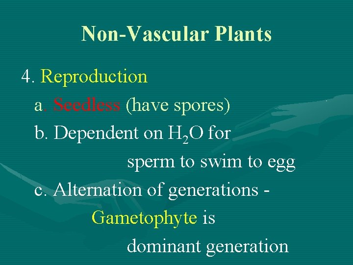 Non-Vascular Plants 4. Reproduction a. Seedless (have spores) b. Dependent on H 2 O