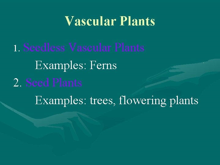 Vascular Plants 1. Seedless Vascular Plants Examples: Ferns 2. Seed Plants Examples: trees, flowering