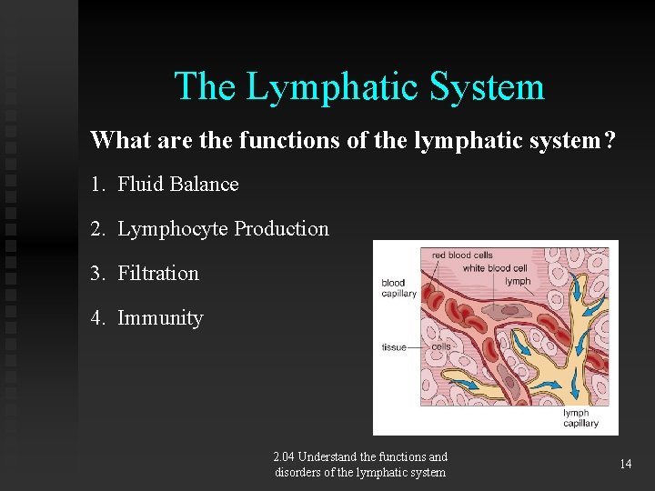 The Lymphatic System What are the functions of the lymphatic system? 1. Fluid Balance
