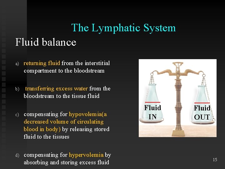 The Lymphatic System Fluid balance a) returning fluid from the interstitial compartment to the
