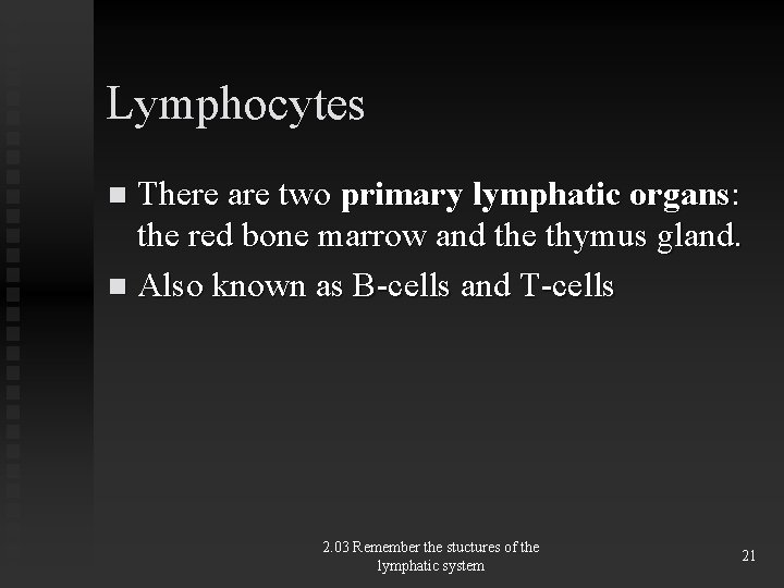 Lymphocytes There are two primary lymphatic organs: the red bone marrow and the thymus