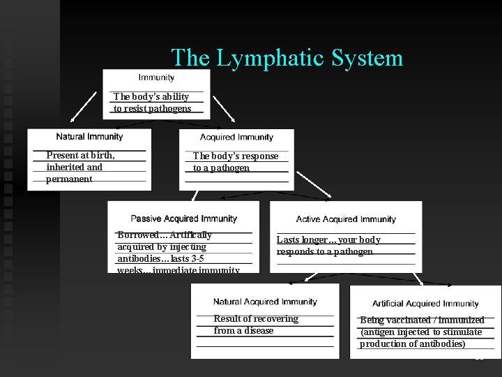 The Lymphatic System The body’s ability to resist pathogens Present at birth, inherited and