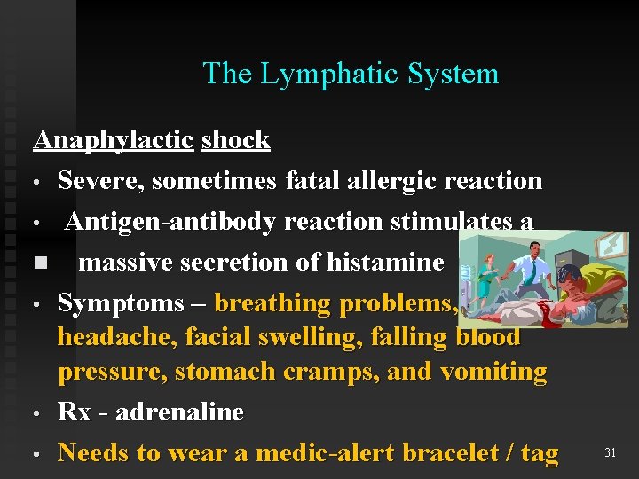 The Lymphatic System Anaphylactic shock • Severe, sometimes fatal allergic reaction • Antigen-antibody reaction