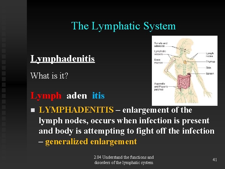 The Lymphatic System Lymphadenitis What is it? Lymph aden itis n LYMPHADENITIS – enlargement
