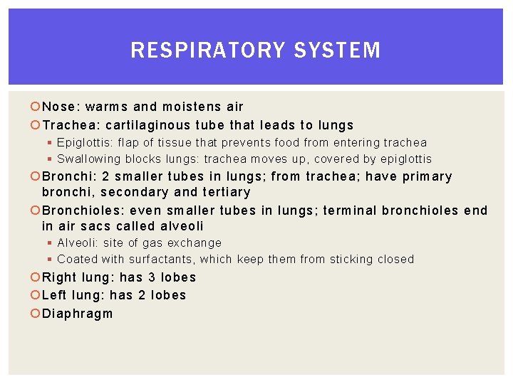 RESPIRATORY SYSTEM Nose: warms and moistens air Trachea: cartilaginous tube that leads to lungs