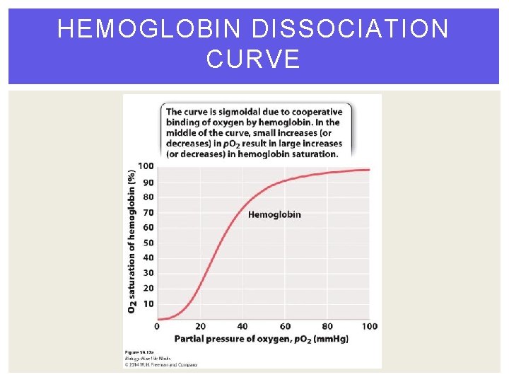 HEMOGLOBIN DISSOCIATION CURVE 