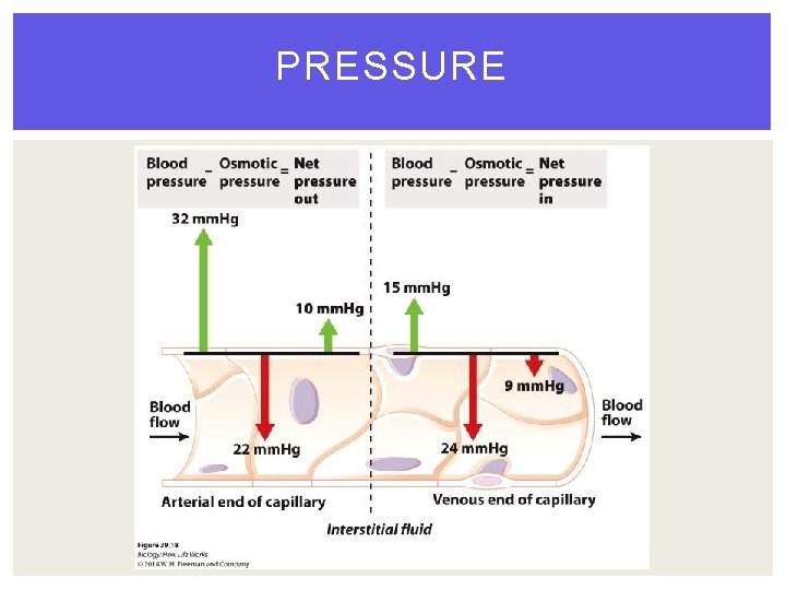PRESSURE 