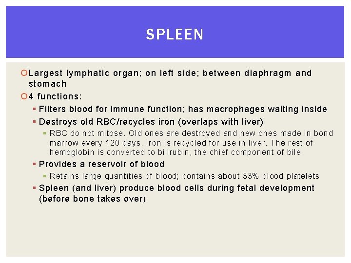 SPLEEN Largest lymphatic organ; on left side; between diaphragm and stomach 4 functions: §
