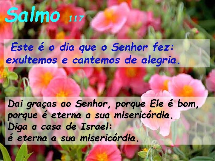 Salmo 117 Este é o dia que o Senhor fez: exultemos e cantemos de