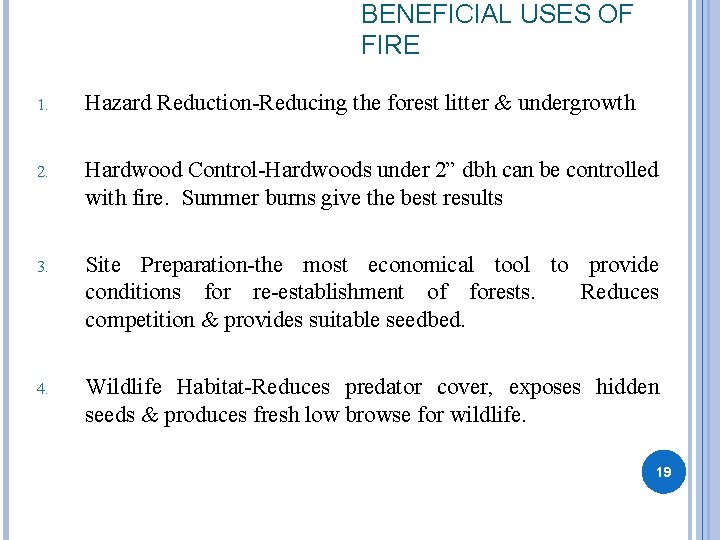 BENEFICIAL USES OF FIRE 1. Hazard Reduction-Reducing the forest litter & undergrowth 2. Hardwood