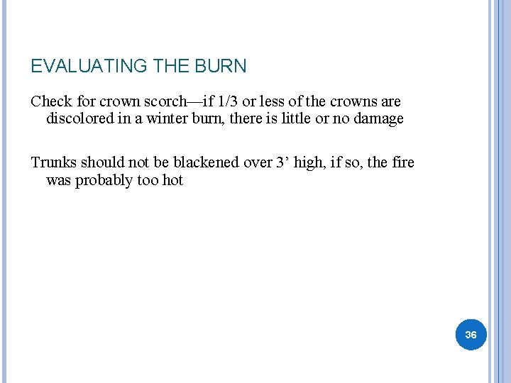 EVALUATING THE BURN Check for crown scorch—if 1/3 or less of the crowns are
