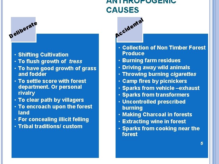 ANTHROPOGENIC CAUSES te ra e b eli D • Shifting Cultivation • To flush