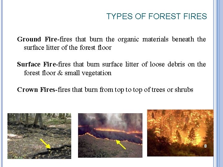 TYPES OF FOREST FIRES Ground Fire-fires that burn the organic materials beneath the surface