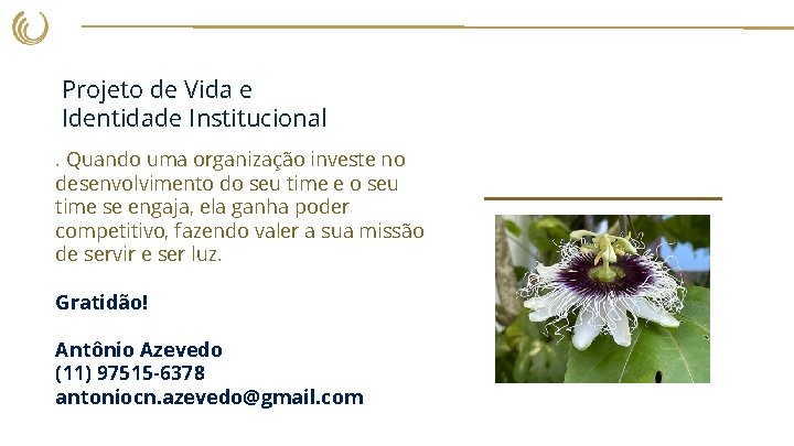 Projeto de Vida e Identidade Institucional. Quando uma organização investe no desenvolvimento do seu