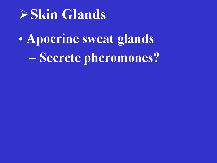 ØSkin Glands • Apocrine sweat glands – Secrete pheromones? 