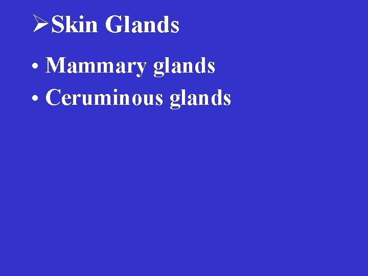 ØSkin Glands • Mammary glands • Ceruminous glands 