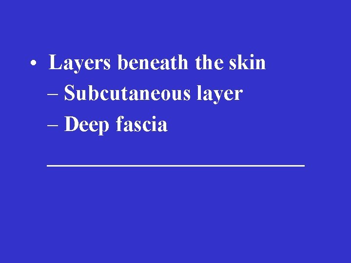  • Layers beneath the skin – Subcutaneous layer – Deep fascia ____________ 