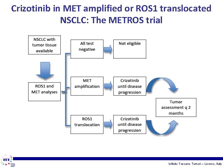Crizotinib in MET amplified or ROS 1 translocated NSCLC: The METROS trial Istituto Toscano