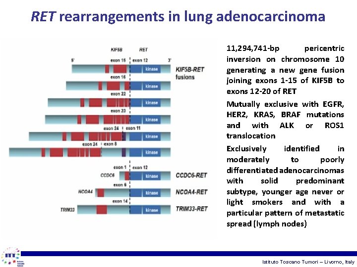 RET rearrangements in lung adenocarcinoma • 11, 294, 741 -bp pericentric inversion on chromosome