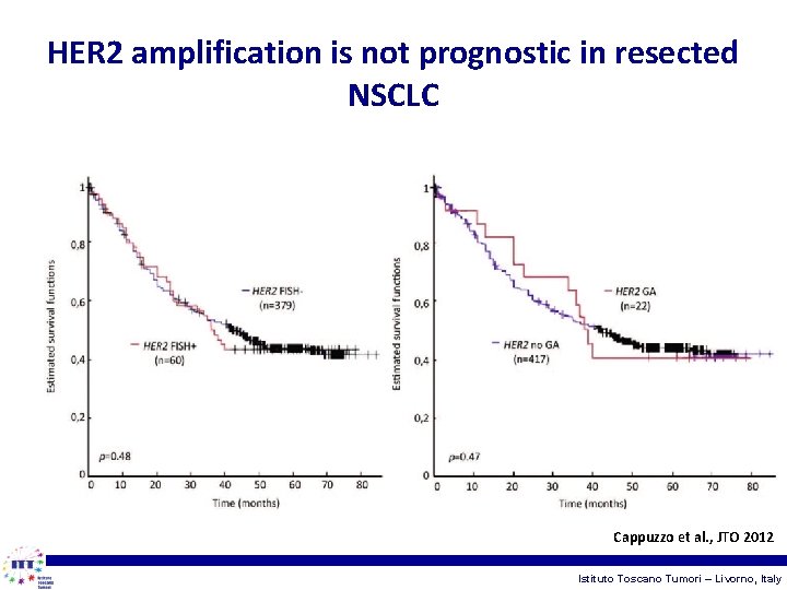 HER 2 amplification is not prognostic in resected NSCLC Cappuzzo et al. , JTO