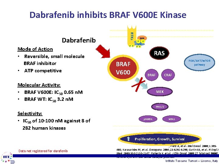 Dabrafenib inhibits BRAF V 600 E Kinase Mode of Action • Reversible, small molecule