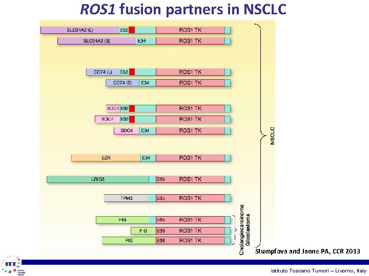 ROS 1 fusion partners in NSCLC Stumpfova and Janne PA, CCR 2013 Istituto Toscano