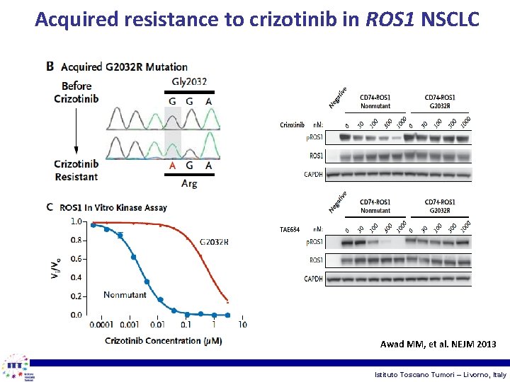Acquired resistance to crizotinib in ROS 1 NSCLC Awad MM, et al. NEJM 2013
