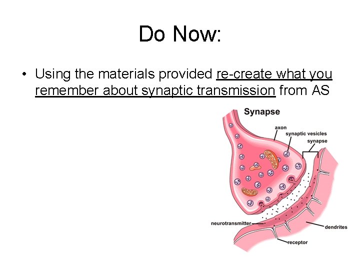Do Now: • Using the materials provided re-create what you remember about synaptic transmission