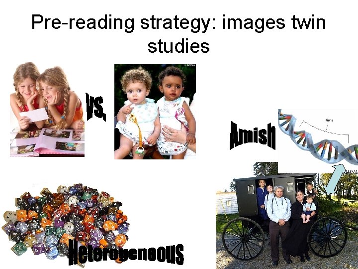 Pre-reading strategy: images twin studies 