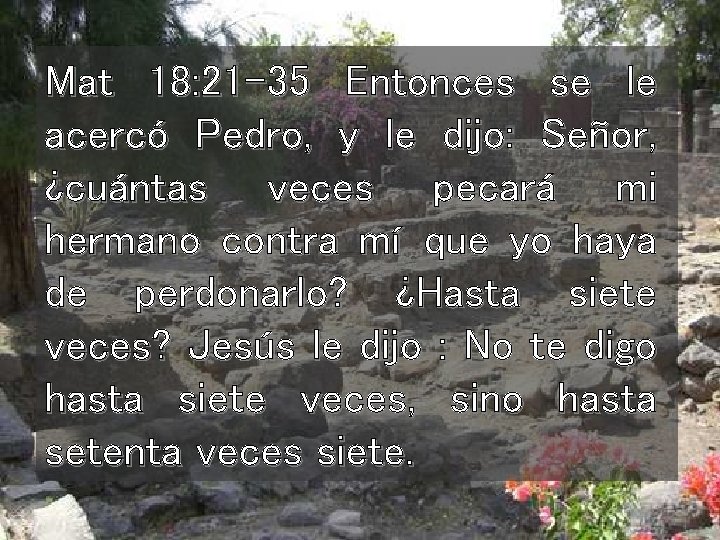 Mat 18: 21 -35 Entonces se le acercó Pedro, y le dijo: Señor, ¿cuántas