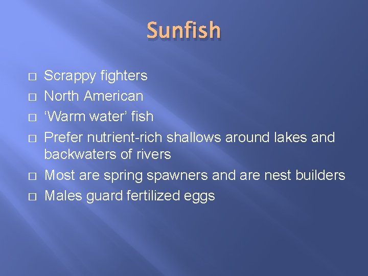 Sunfish � � � Scrappy fighters North American ‘Warm water’ fish Prefer nutrient-rich shallows