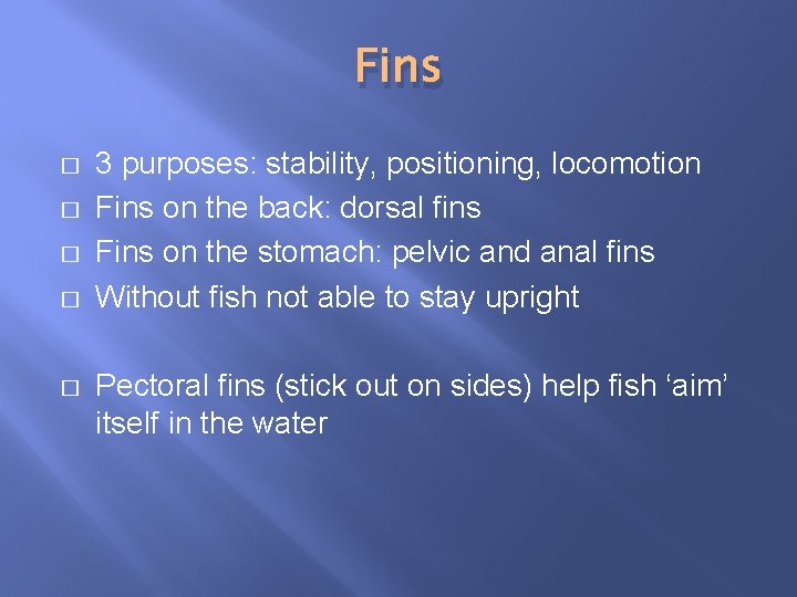 Fins � � � 3 purposes: stability, positioning, locomotion Fins on the back: dorsal